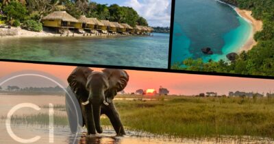 A visual mix of serene beaches and African wildlife representing top low-investment citizenship destinations for 2026