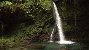 Dominica Citizenship by Investment island landscape with rainforest mountains and second citizenship planning