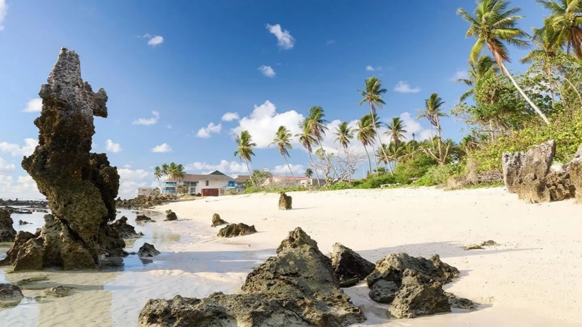 Sunny tropical beach in Nauru featuring jagged limestone pinnacle rocks, white sand, and palm trees under a blue sky.